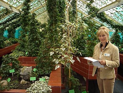 Hanna Grzeszczak-Nowak