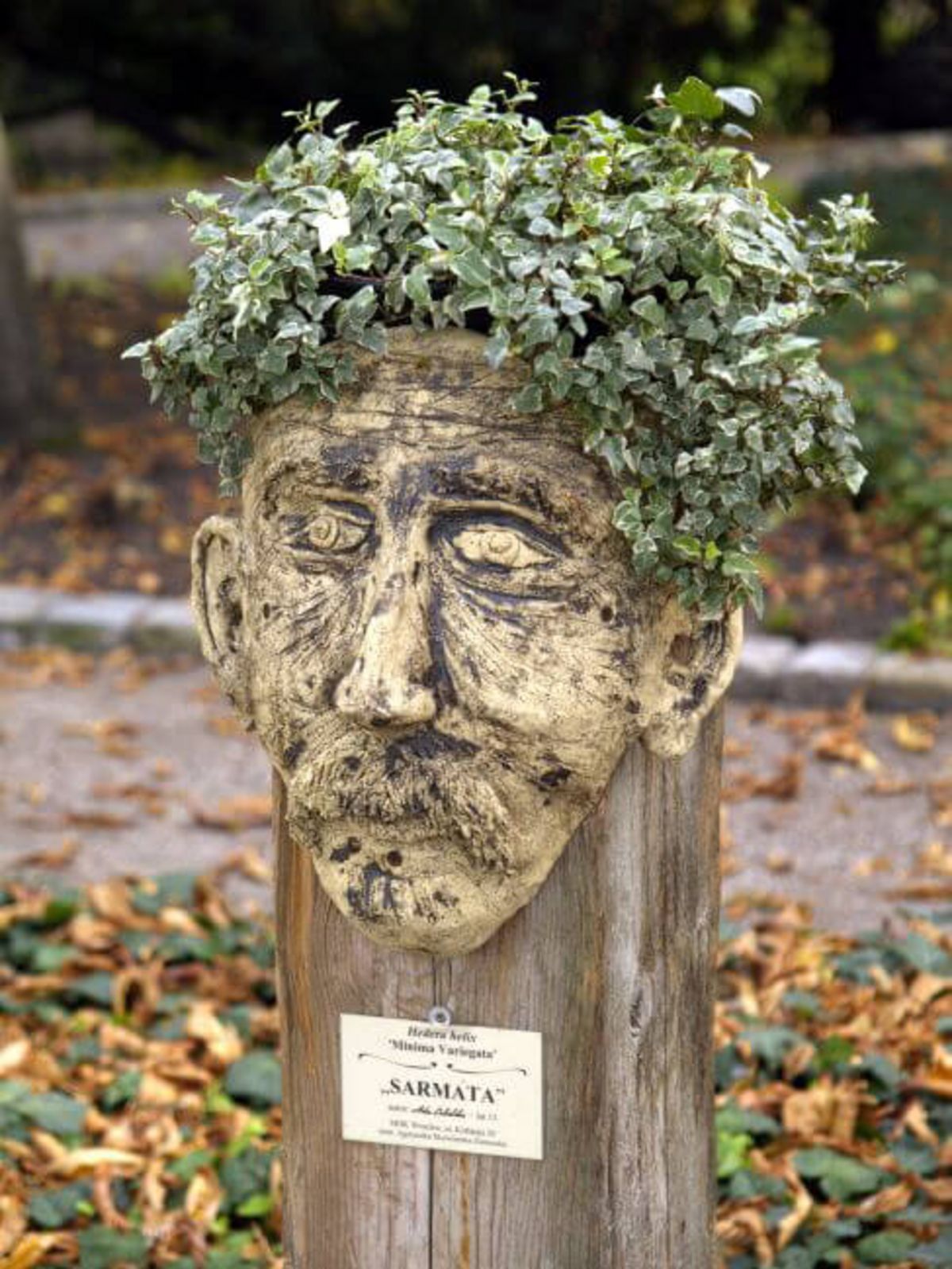 Deutsche Efeugesellschaft: Efeusammlung Robert Krebs