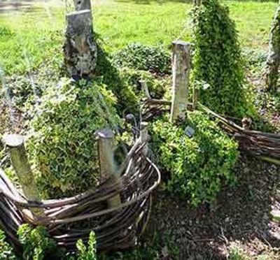 Efeubeet der Gärtnerei Olivier Arcelus