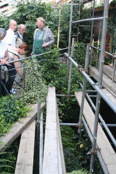 Herr Hönemann, Herr Krebs, Herr Riedel