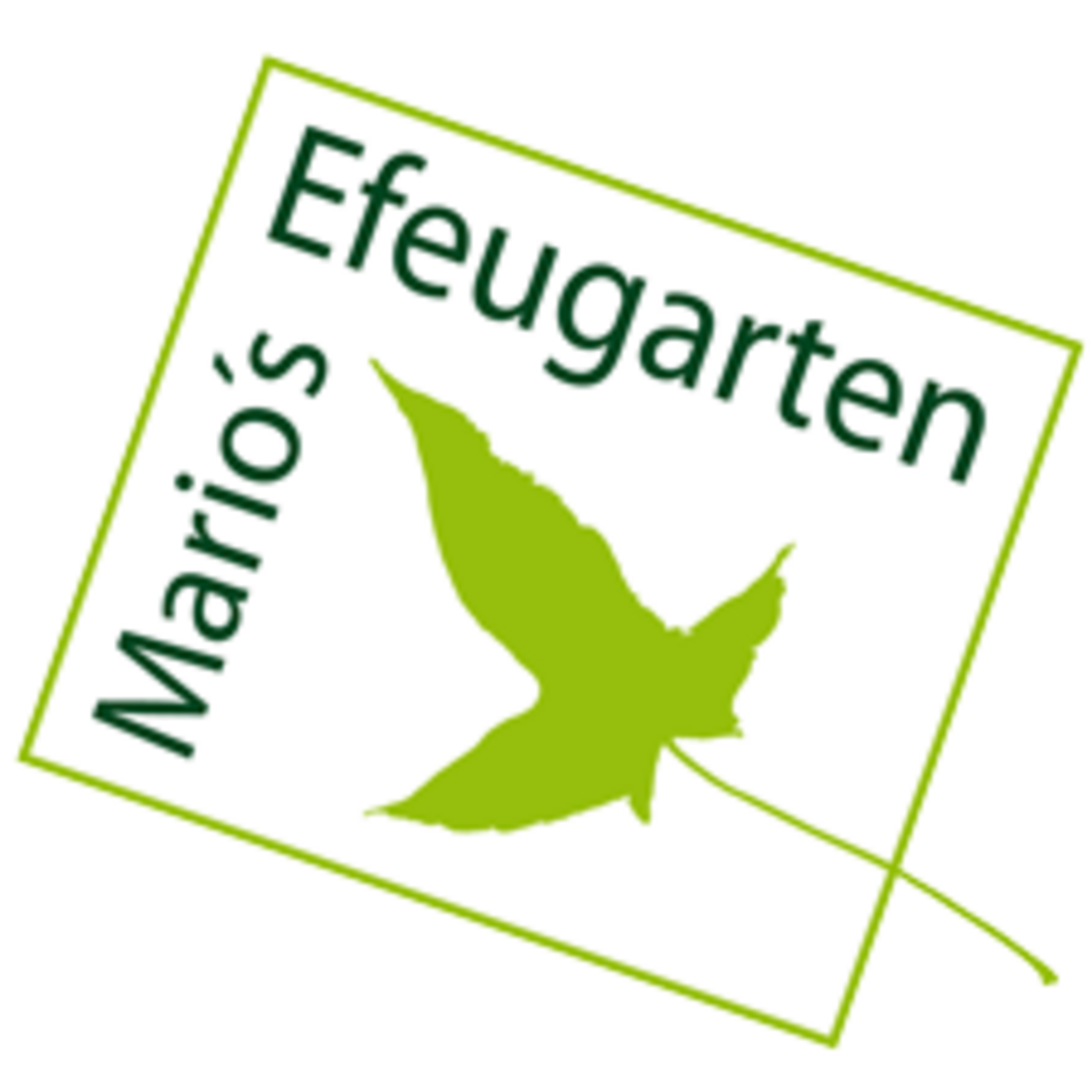 Deutsche Efeugesellschaft: efeu-ev.org